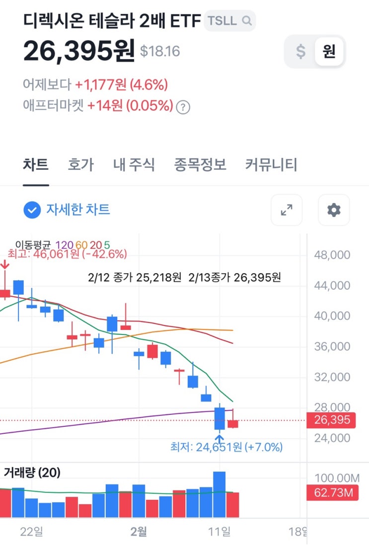  미국주식 2/13 디렉시온 테슬라 2배 ETF  약상승 하지만...(지하에 아직 사람 있어요)