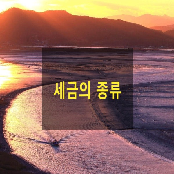  세금의 종류(국세, 지방세, 보통세, 목적세, 직접세, 간접세)