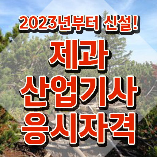  제과산업기사 자격조건 취득자격 집에서 온라인으로 간단하게 끝낸 팁