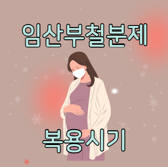  임산부철분제복용시기 복용시간