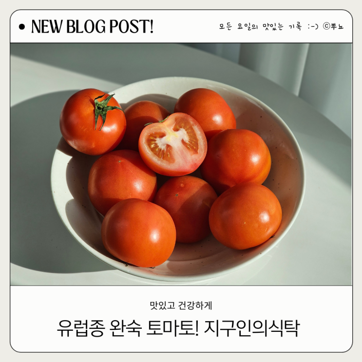  진하고 깊은 단맛 유럽종 완숙토마토 최상품 후기:: 지구인의 식탁