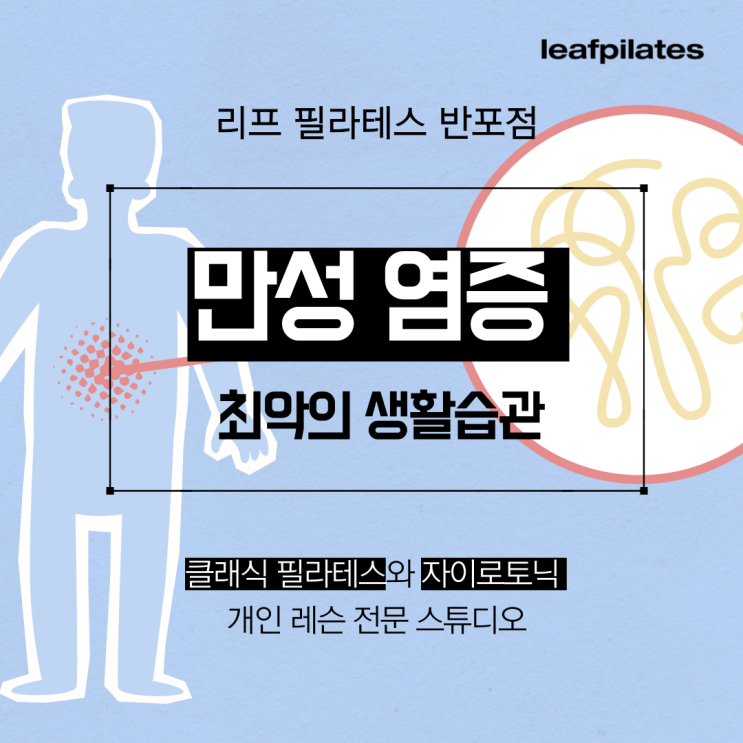  [신반포 필라테스] 만성염증에 최악의 생활 습관!/ 반포필라테스 리프