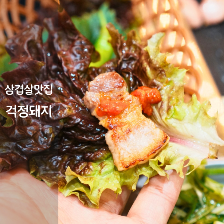  동탄2 점심 맛집 고기집 걱정돼지 삼겹살 돼지고기 김치찌개