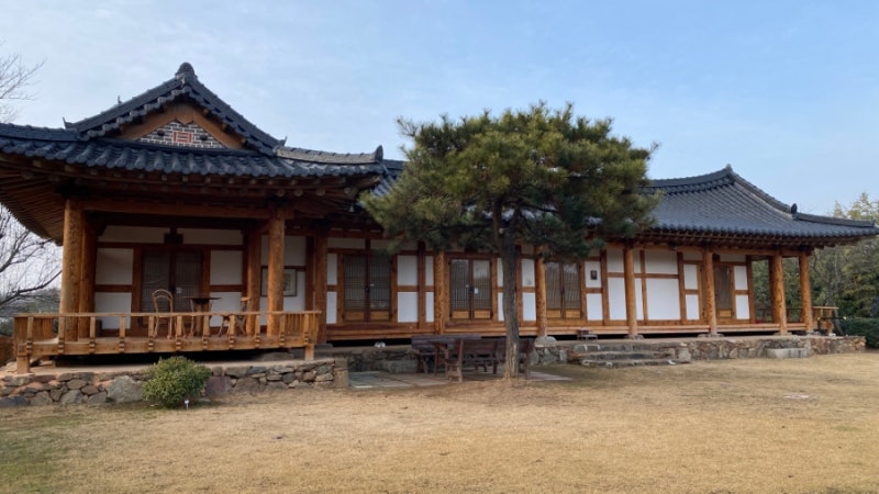 사진 5