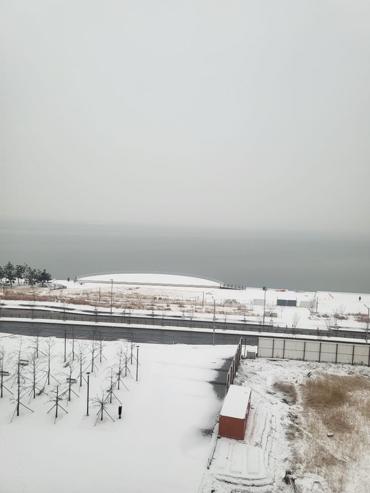  눈 오는 서해바다 거북섬 오션뷰 하운드호텔에서
