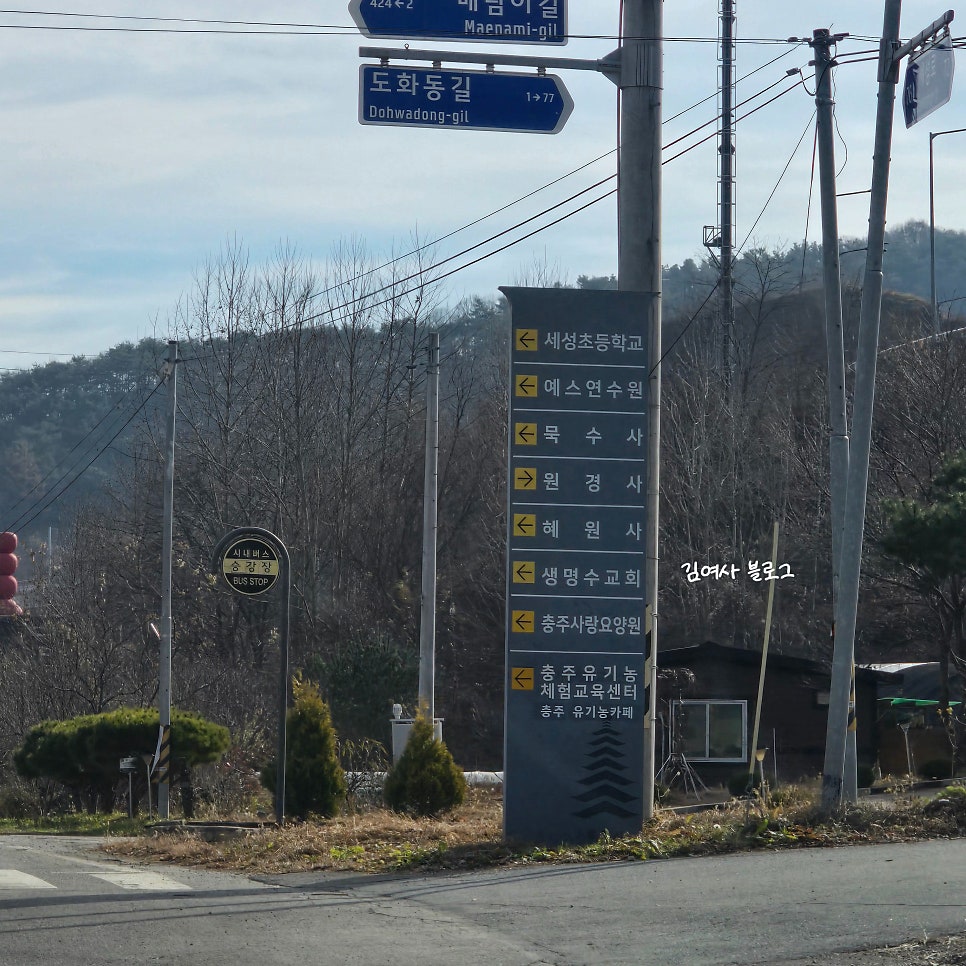 자연애수라간 사진 1