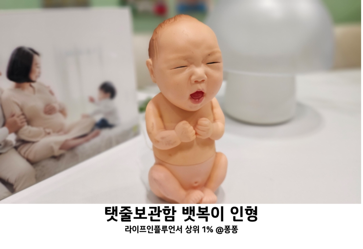  출산선물 탯줄보관함 신생아 탯줄 보관 인형 파커가빈 뱃복이 탯줄도장 보다 추천