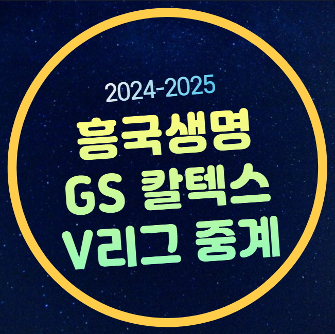 흥국생명 GS 칼텍스 여자배구 중계 2025년 2월 13일 V리그... 