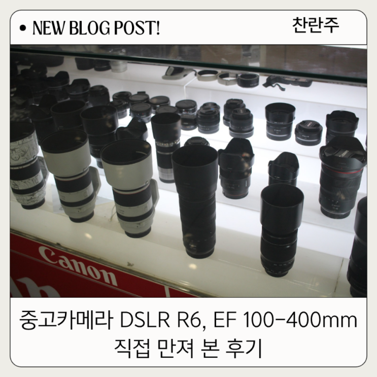  강변 DC클럽 중고 미러리스카메라 R6, 중고렌즈 EF100-400mm 만져 본 후기