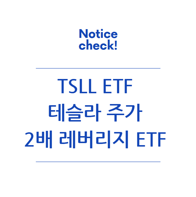  TSLL ETF: 테슬라 주가의 상승을 두 배로 누리는 레버리지 ETF