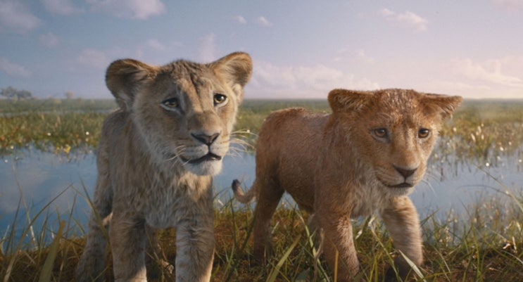  [영화] 무파사 라이온 킹(Mufasa: The Lion King)
