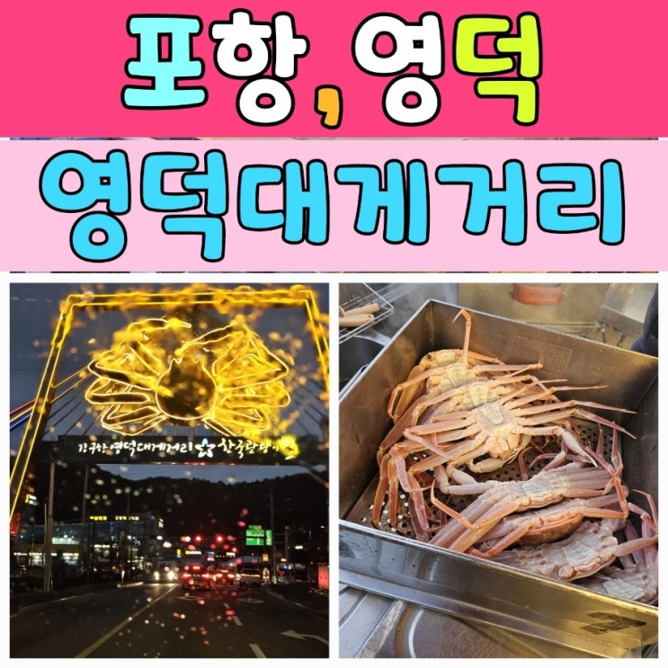  [포항여행 1탄] 15년 경력 영덕대게 싸게 사는 곳 공유. 애견동반포항숙소
