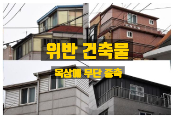  위반건축물 제재와 양성화