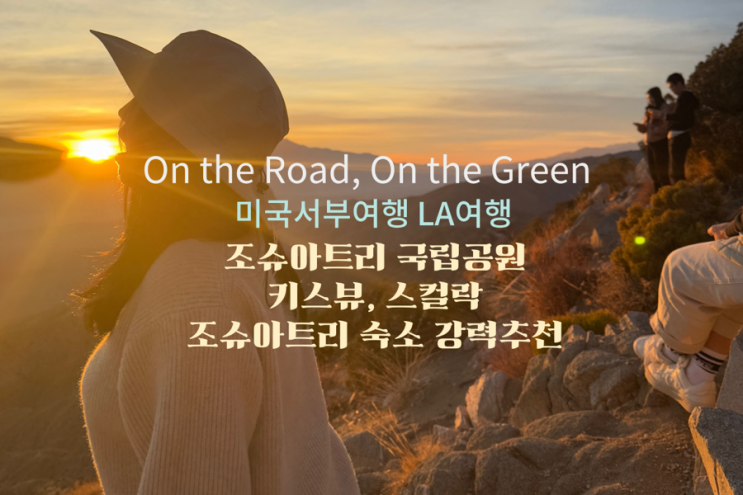  5. 조슈아트리 LA근교여행 조슈아트리 국립공원 , 별쏟아지는 강력추천 숙소 후기