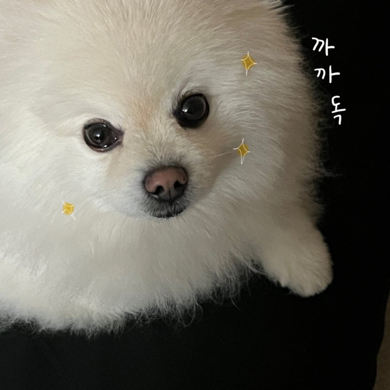 사진 7