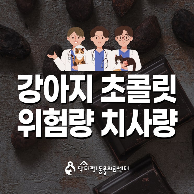  강아지 초콜릿 위험량 치사량 얼마일까 (부산 24시 응급실 동물병원 닥터펫동물의료센터)