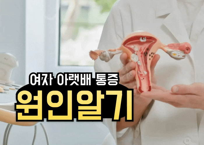 여자 왼쪽 오른쪽 아랫배 통증, 골반통증 원인은?