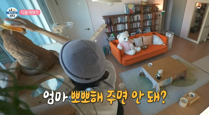 <b>옥자연</b> 집 인테리어 식물 쇼파 가전 가구 고양이 캣타워 나혼자... 