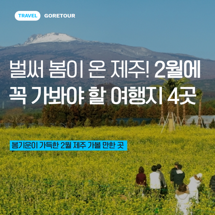  벌써 봄이 온 제주! 2월에 꼭 가봐야 할 여행지 4곳
