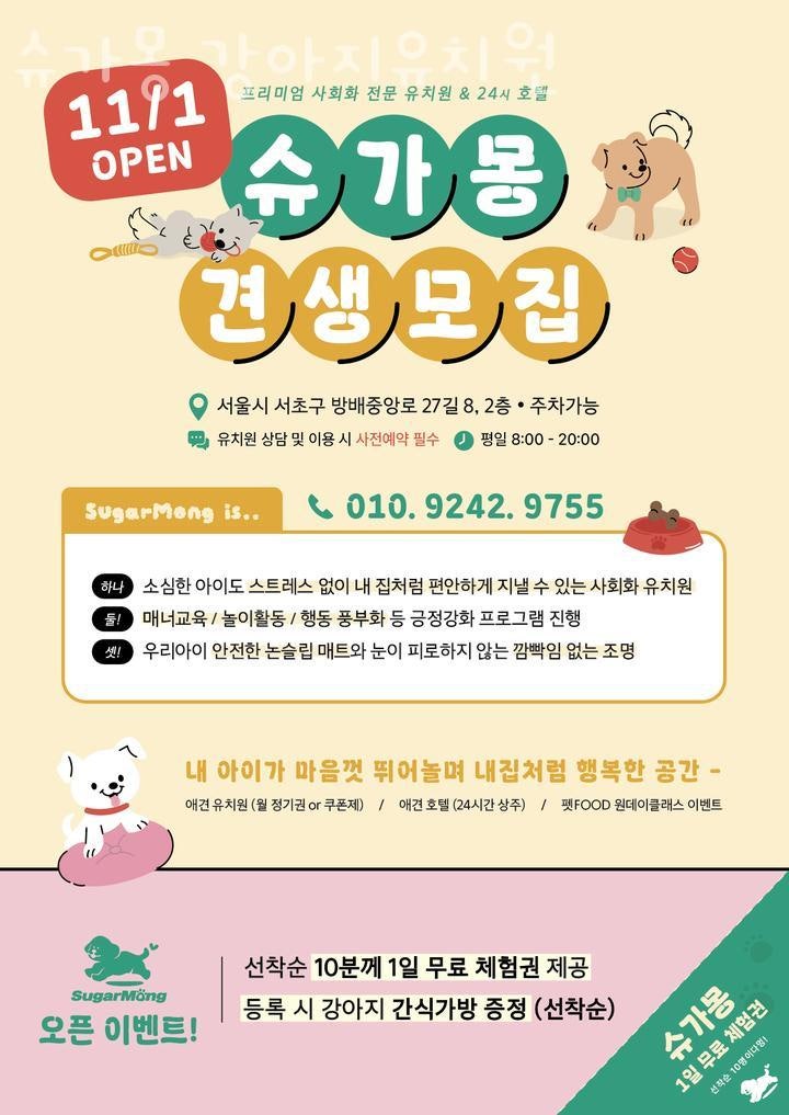 사진 2