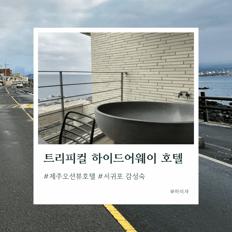  제주도 서귀포 감성숙소 트로피컬 하이드어웨이 호텔 오션뷰 에요