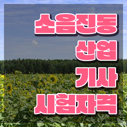  소음진동산업기사 준비 응시자격 온라인 과정으로 단기간에 성공한 방법