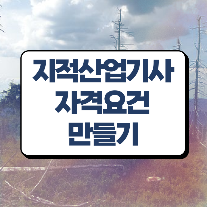  지적산업기사 취득자격 독학으로 간단하게 완료한 후기