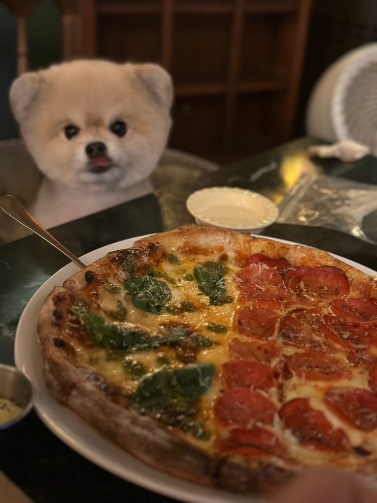  마곡 서울식물원 애견동반 맛집 N년째 단골, 또갔어 #코끼리탭룸