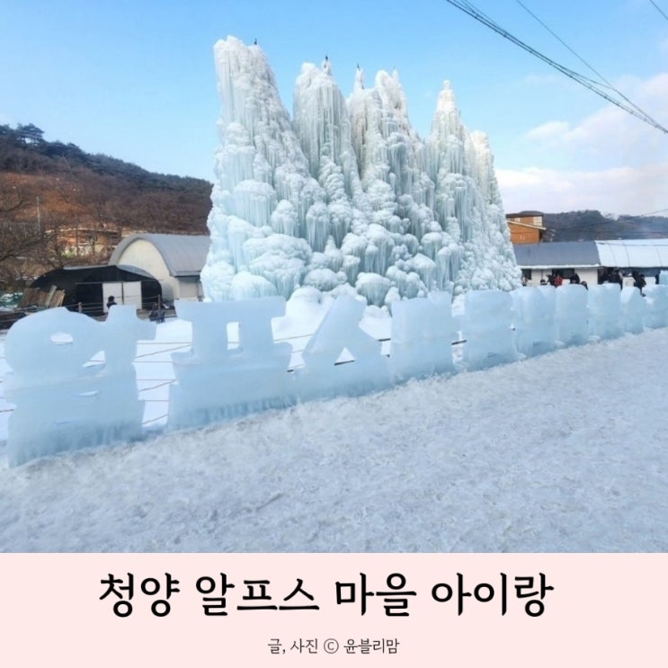  충남 청양 알프스마을 축제 눈썰매 먹거리 아이랑 가볼만한 곳