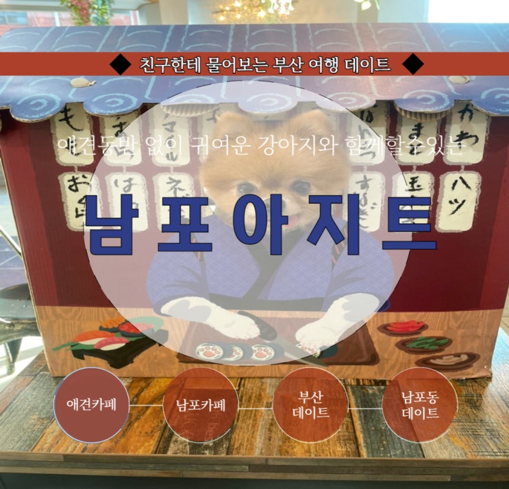  부산 남포동 애견 없이도 입장 가능한 애견카페 : 남포아지트