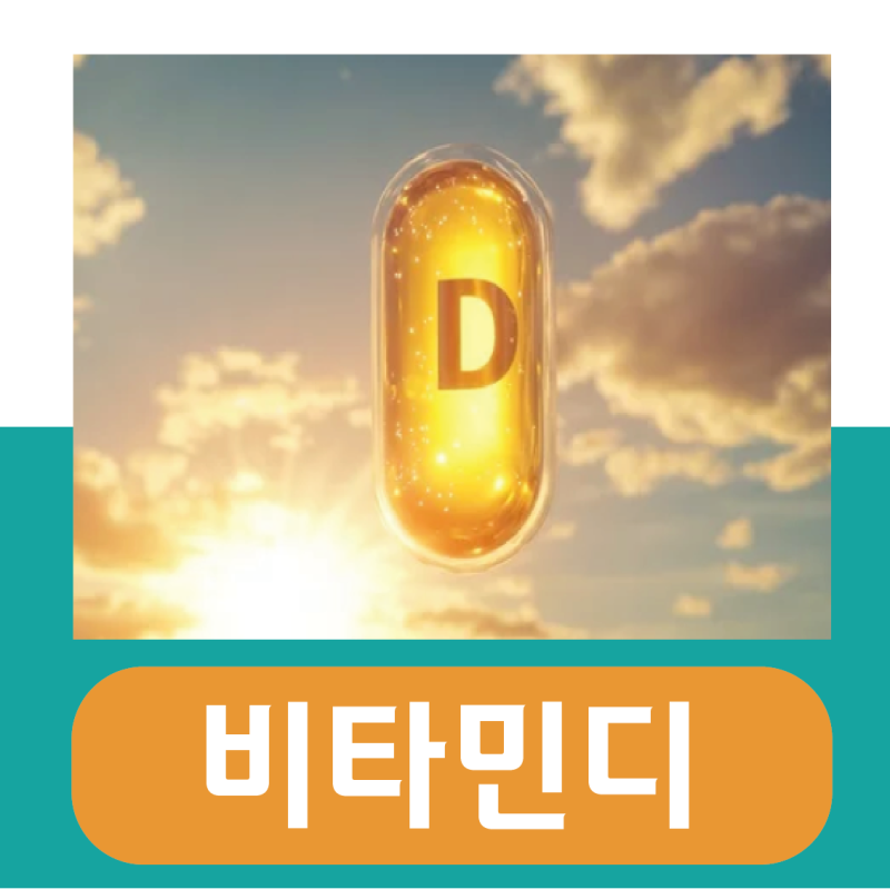 비타민디 효능, 최적의 복용시간은? (하루 권장량)