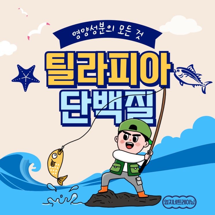  틸라피아 단백질의 영양성분의 모든 것