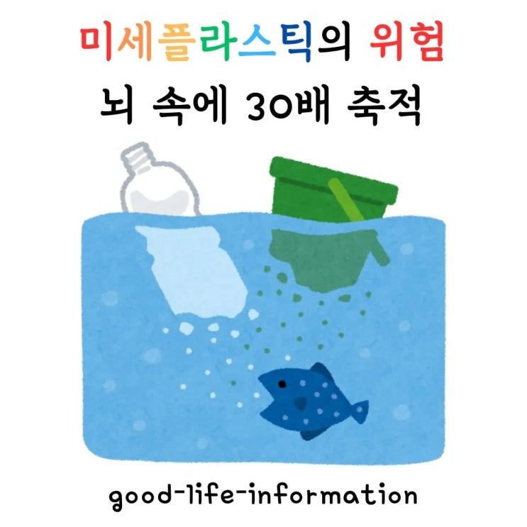 인간 뇌 속 미세플라스틱 발견, 뇌에 30배 더 축적된다? 최신 연구 결과 공개 인간 뇌 속 미세플라스틱 발견, 뇌에 30배 더 축적된다? 최신 연구 결과 공개