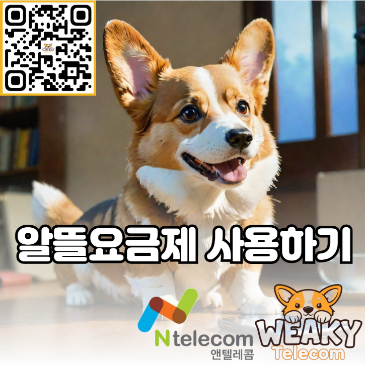  휴대폰을 싸게 쓸 수 있는 알뜰요금제 사용 방법 알아보기!