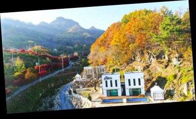 사진 3