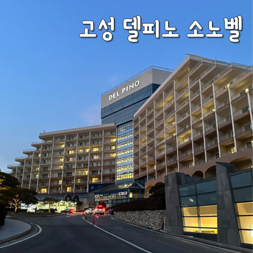  고성 델피노 소노벨 스위트 후기, 소노문, 소노캄, 소노펠리체 차이점