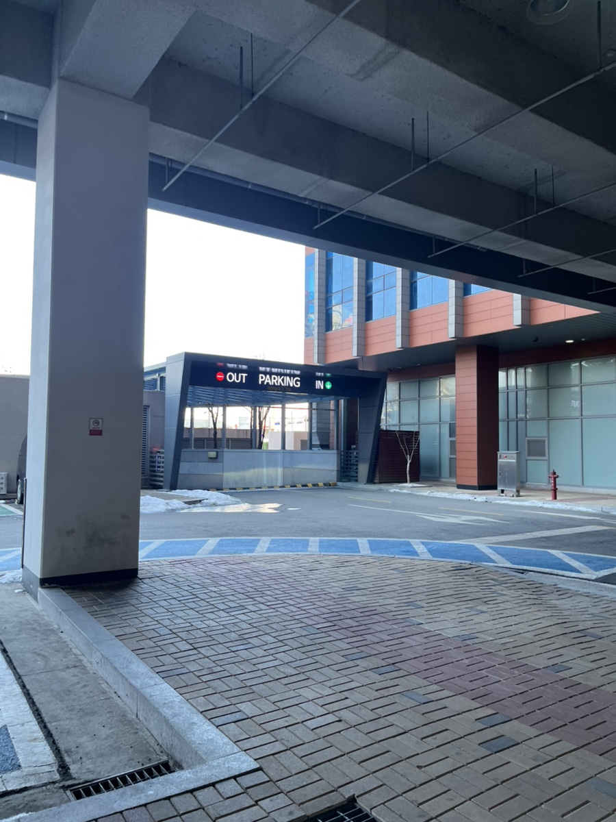 차프로통돼지 사진 2