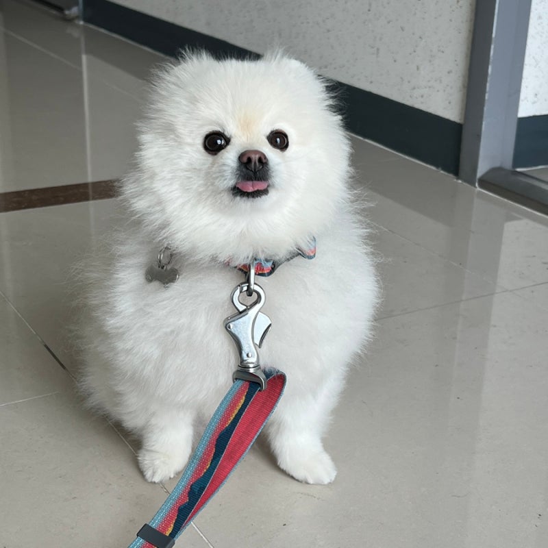 사진 8