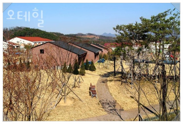  반려견과 함께! 프라이빗한 힐링 여행, 괴산 오테힐 펜션