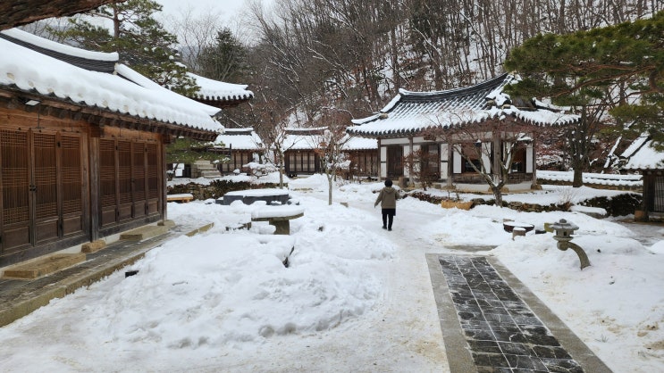  남한산성 도립공원 낙선재 경기도 광주 드라이브 여행 맛집 가볼만한곳