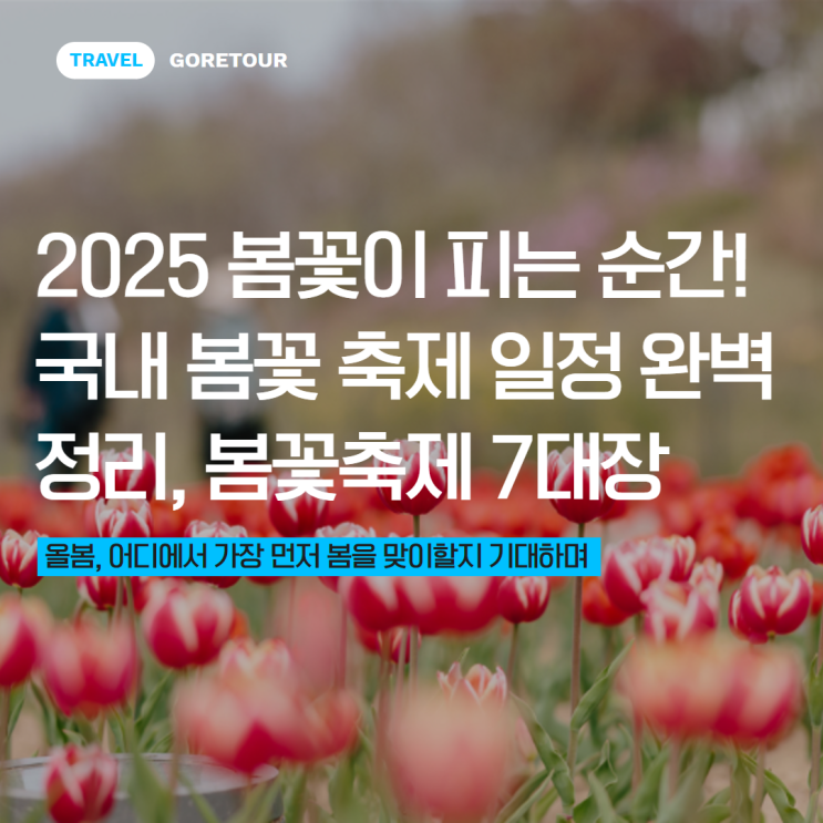  2025 봄꽃이 피는 순간! 국내 봄꽃 축제 일정 완벽 정리