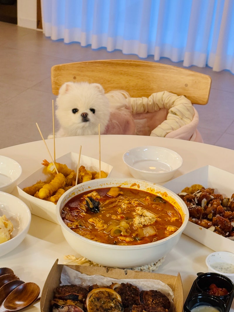 사진 5