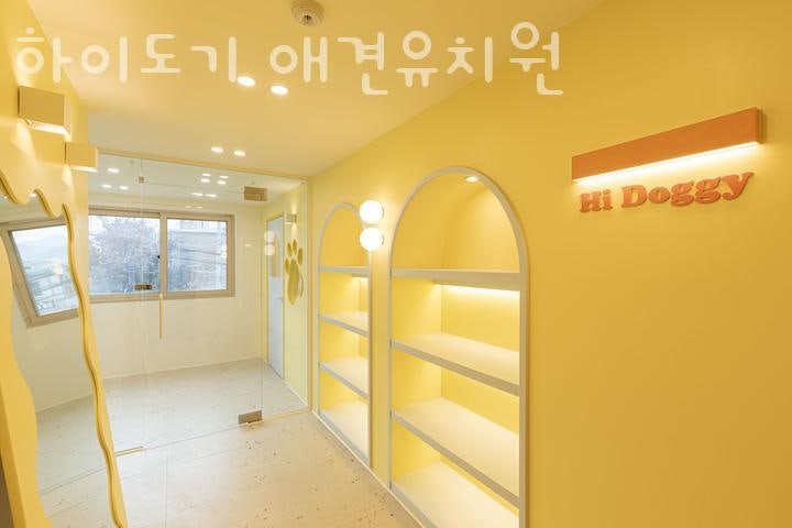 사진 2