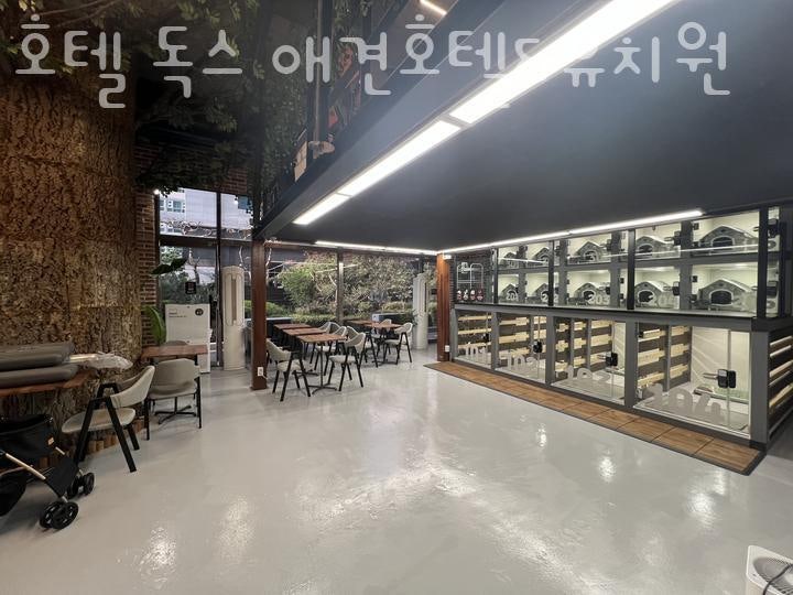 사진 2