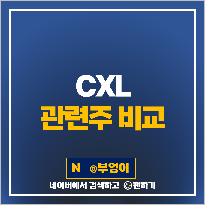 CXL 관련주 엑시콘 주가 티엘비 네오셈 오킨스전자 파두 큐알티 주식 CXL 관련주 엑시콘 주가 티엘비 네오셈 오킨스전자 파두 큐알티 주식
