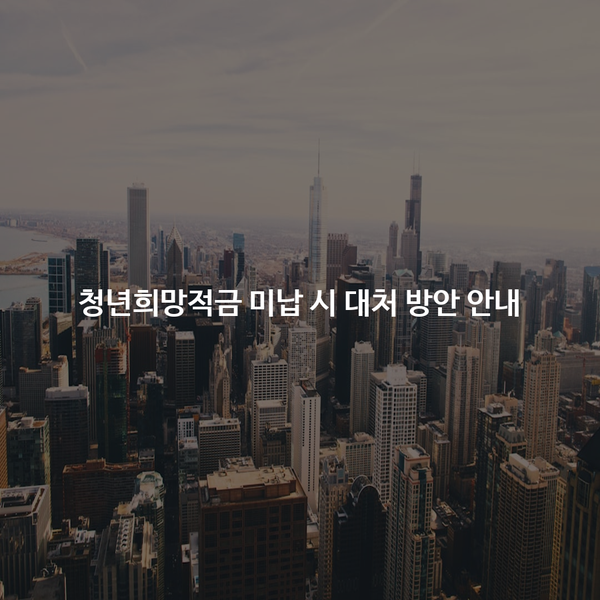 청년희망적금 미납 시 대처 방안 안내