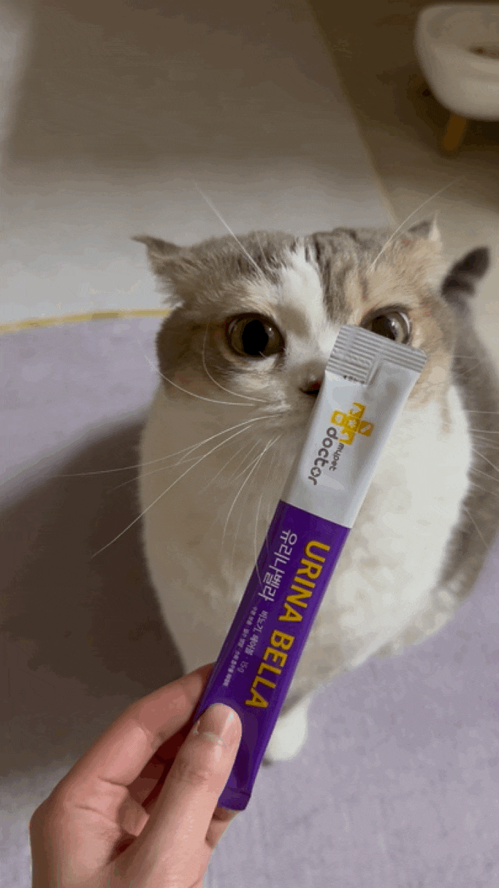  아깽이 시절부터 먹인 고양이 영양제 츄르 마이펫닥터 제품 후기 | 유리나벨라 네바에토닉