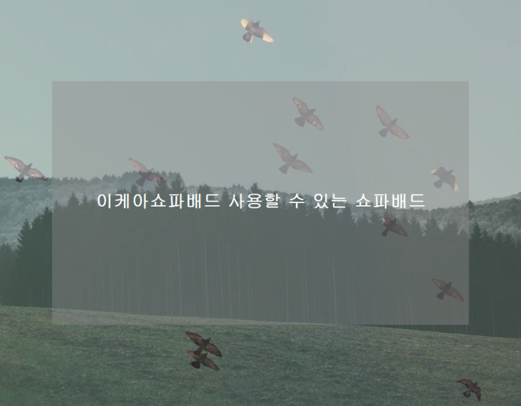  이케아쇼파배드 사용할 수 있는 쇼파배드