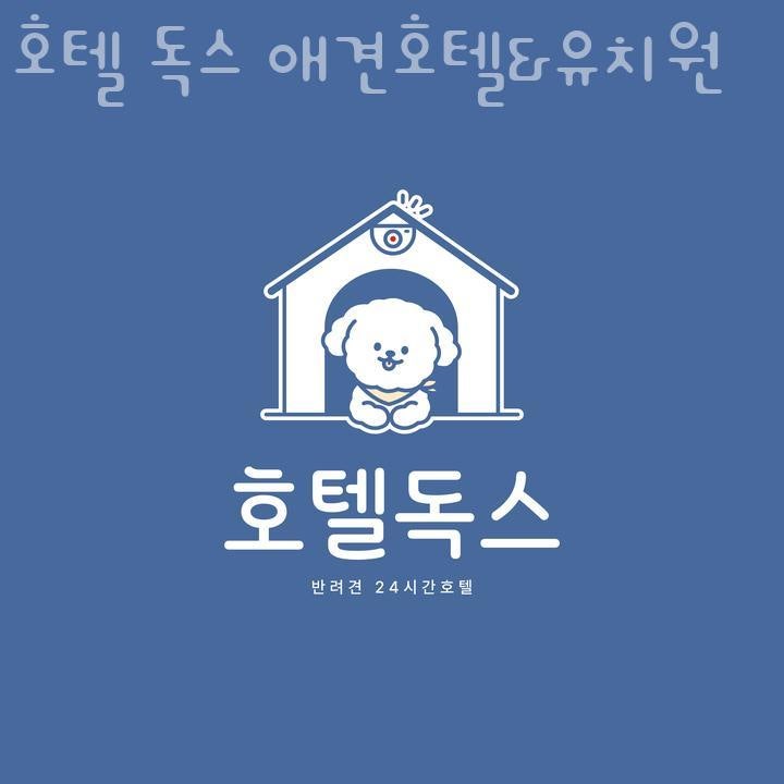호텔 독스 애견호텔&유치원