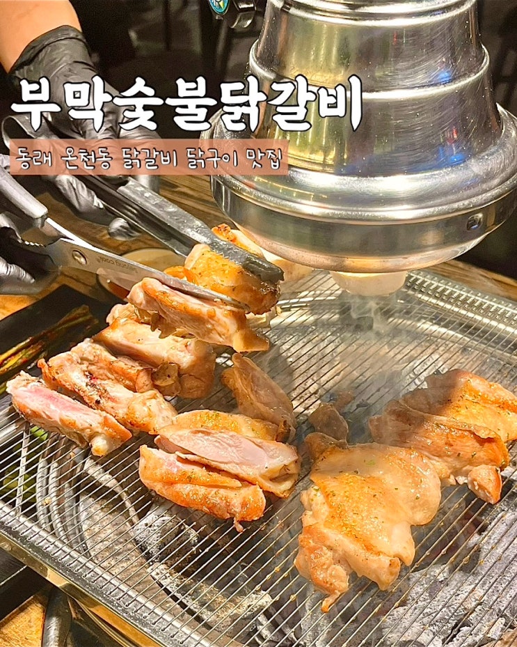  부산 동래 맛집 부막숯불닭갈비 명륜역 온천동 닭구이
